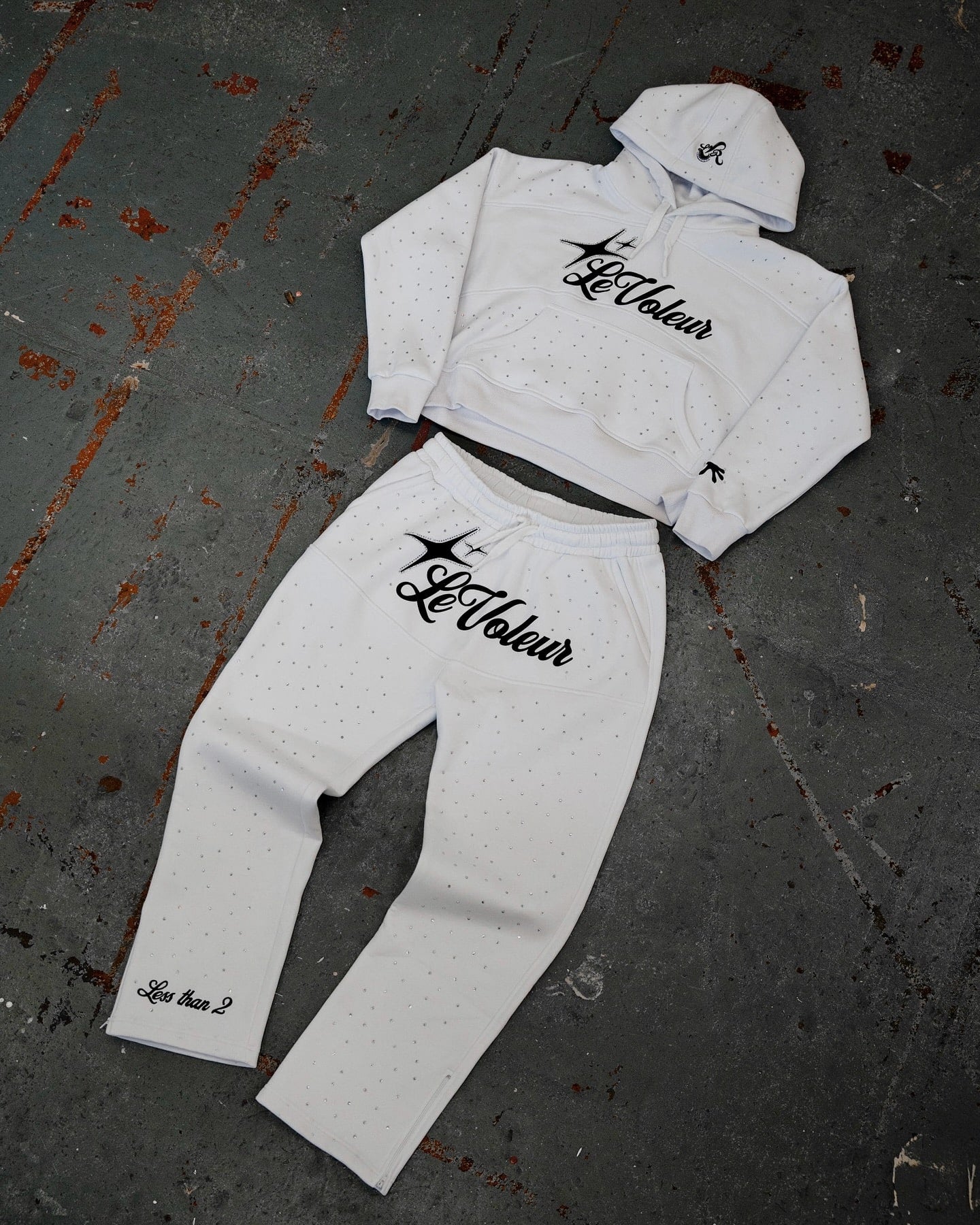 Premium Hoodie & Sweats Collection